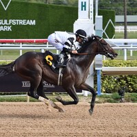 Chief Wallabee wins at Gulfstream Park.