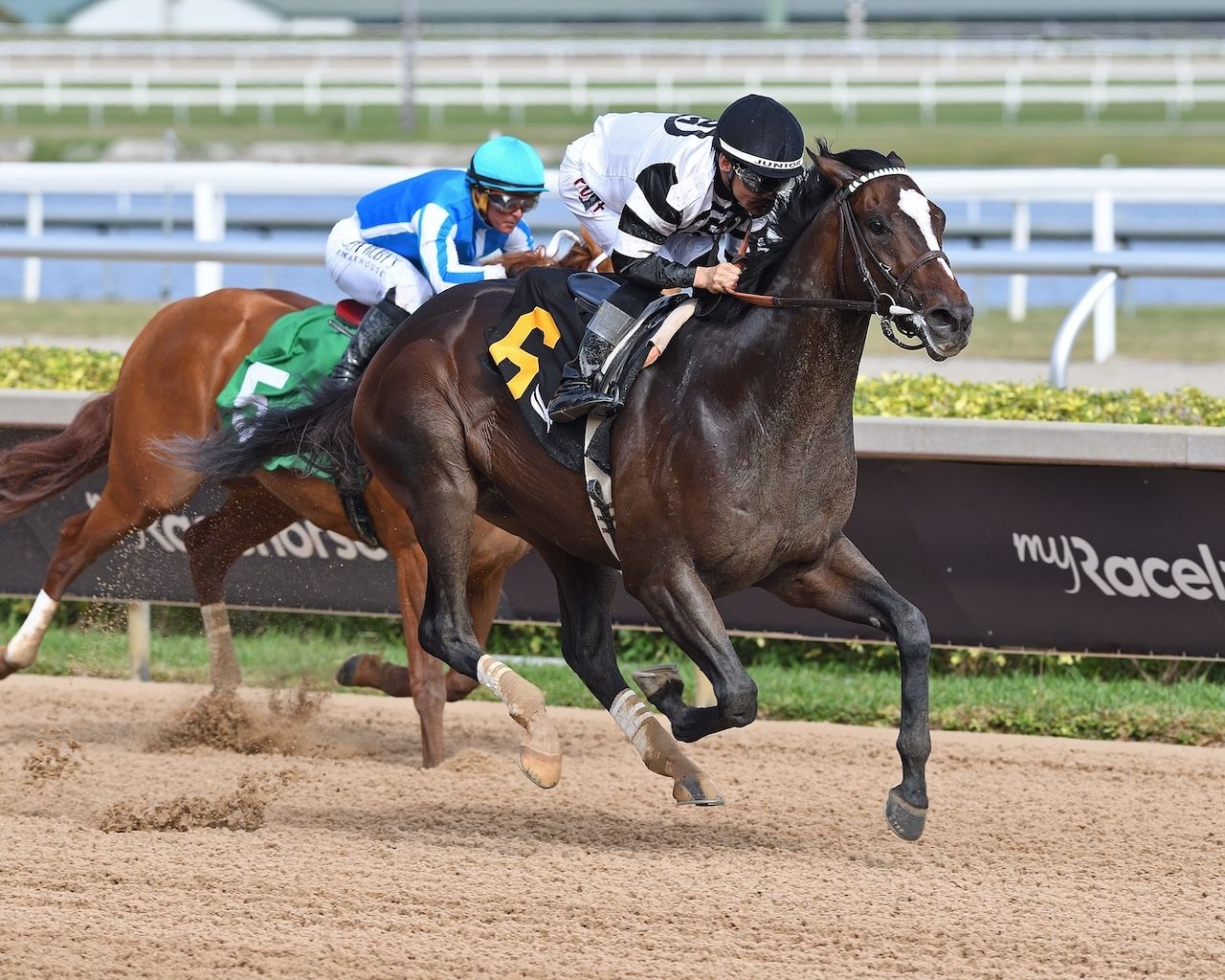 Chief Wallabee wins at Gulfstream Park.