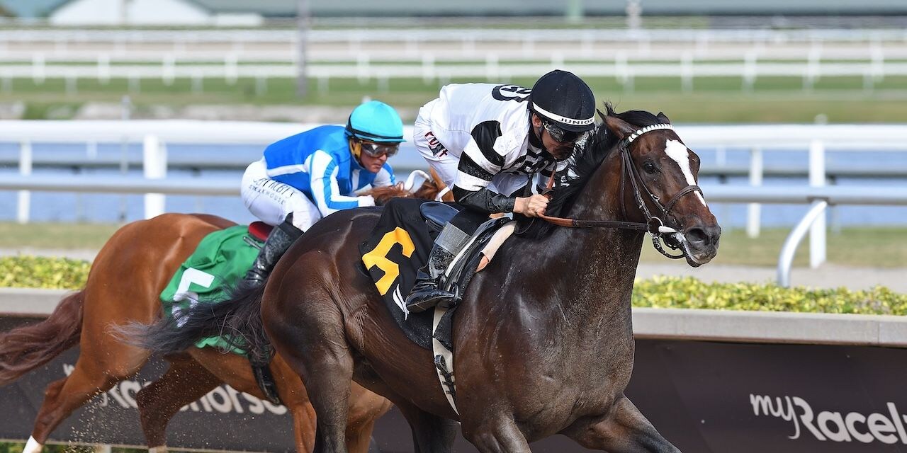 Chief Wallabee wins at Gulfstream Park. 