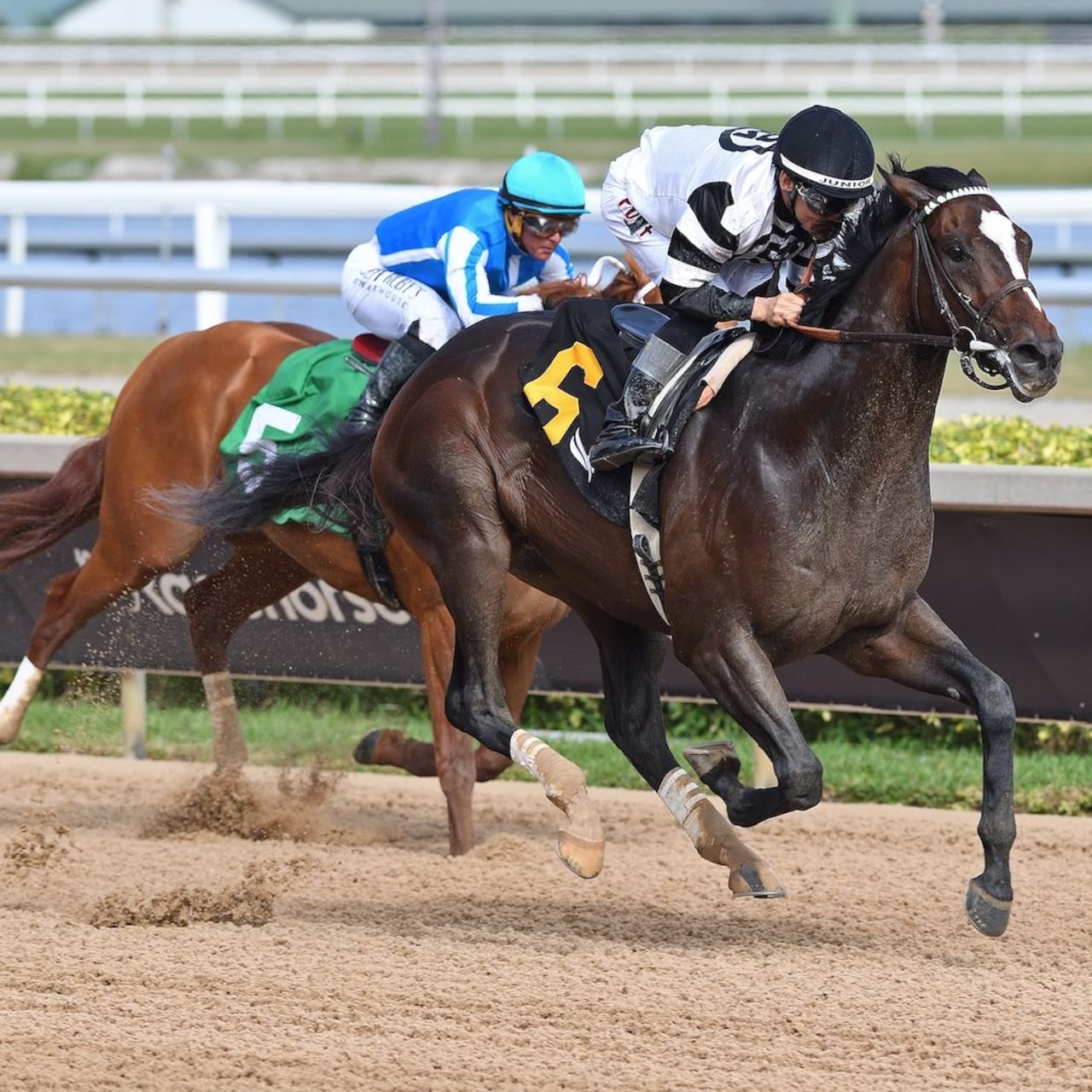 Chief Wallabee wins at Gulfstream Park.