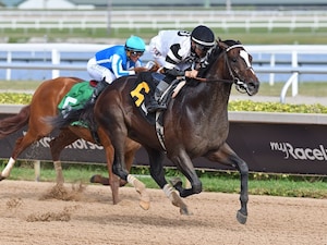 Chief Wallabee wins at Gulfstream Park.