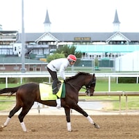 Chief Wallabee training at Churchill Downs