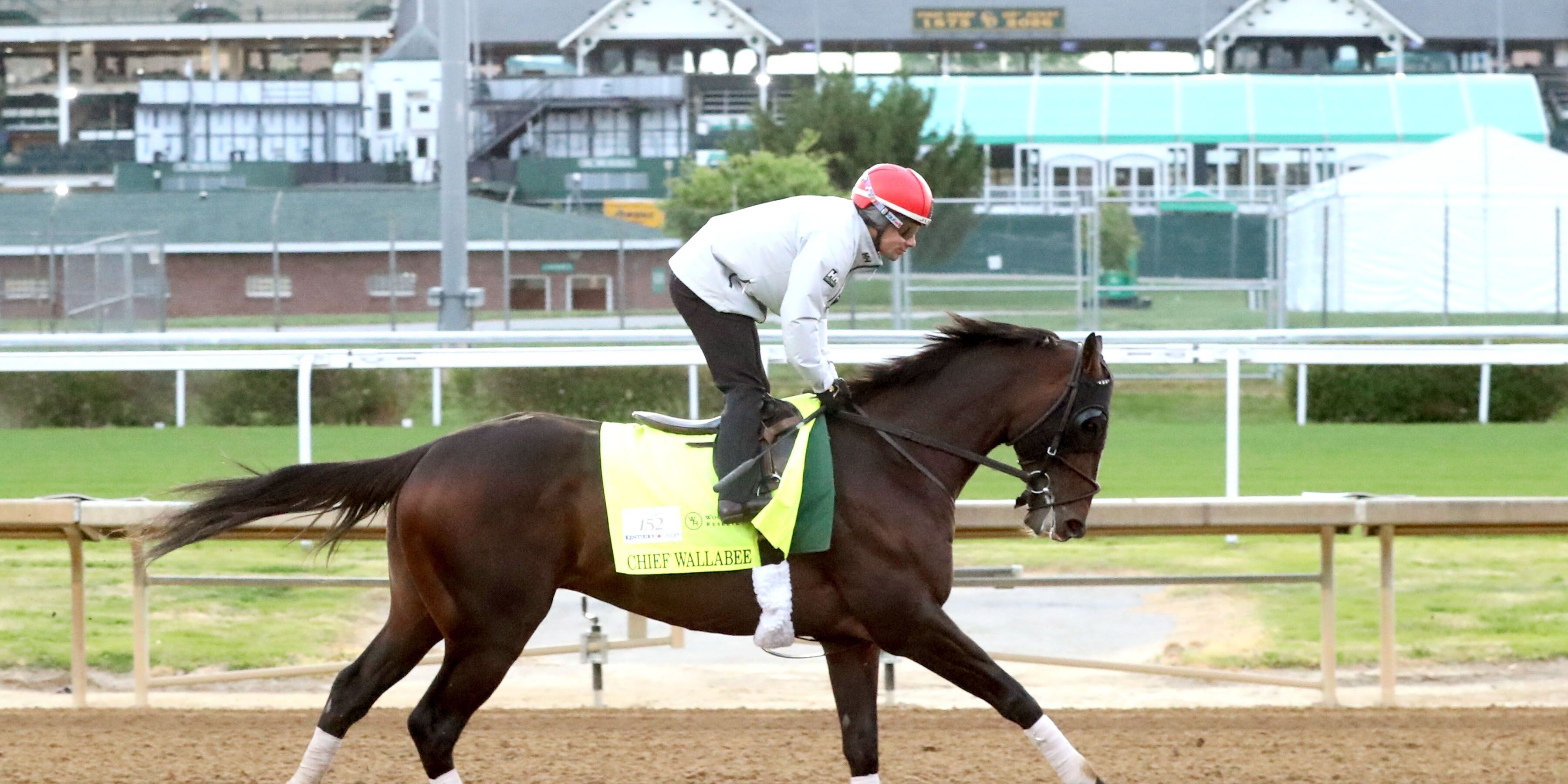 Chief Wallabee training at Churchill Downs