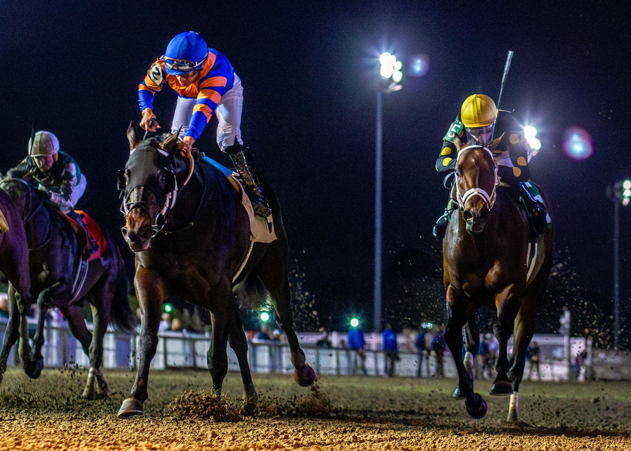 Chip Honcho wins the Gun Runner Stakes at Fair Grounds.