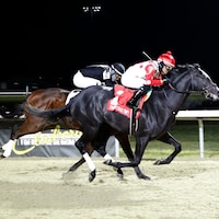 Chunk of Gold wins at Turfway Park.