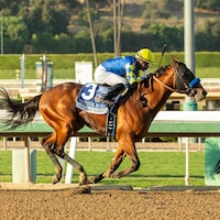 Citizen Bull winning the American Pharoah (G1) at Santa Anita (Photo by Benoit Photo)