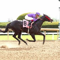 Civil Liberty breaking his maiden at Keeneland