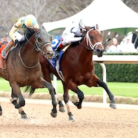 Class President holds off Silent Tactic in the Rebel (G2) at Oaklawn Park