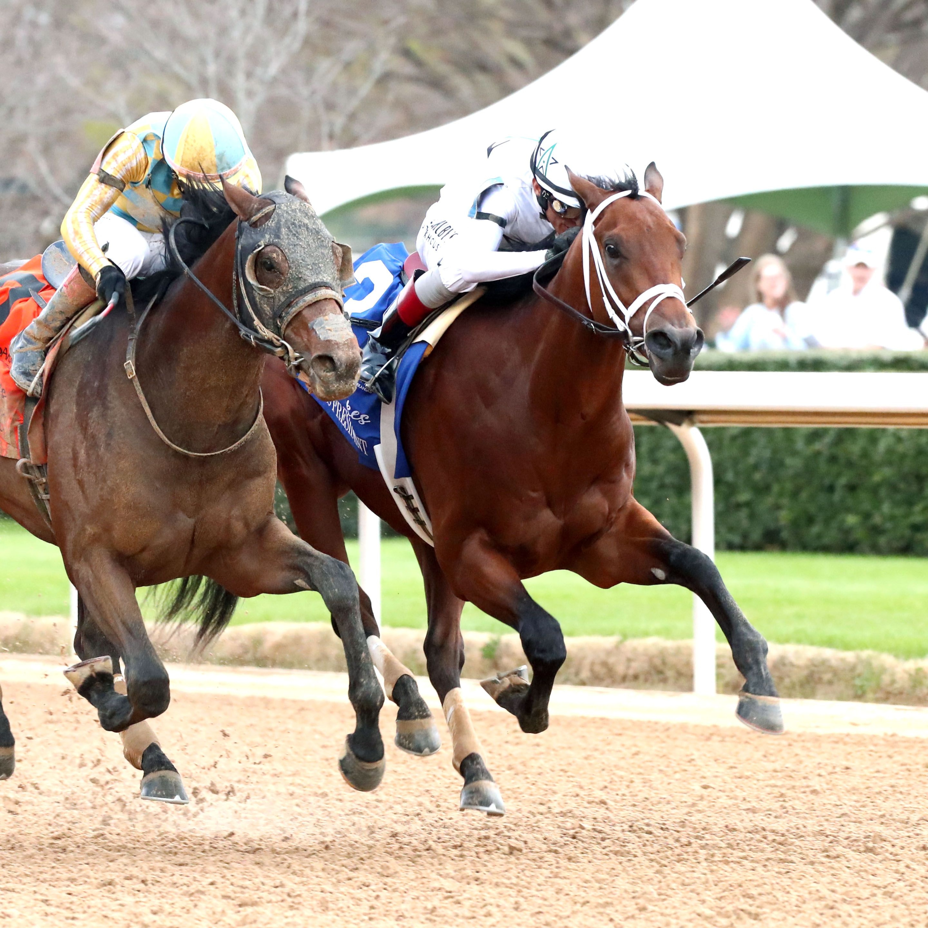 Class President holds off Silent Tactic in the Rebel (G2) at Oaklawn Park