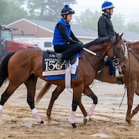 Clever Again trains at Pimlico for the Preakness S. 2025 (Photo by MJC/Jerry Dzierwinski)