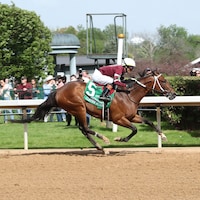 Clever Again romps in the Hot Springs