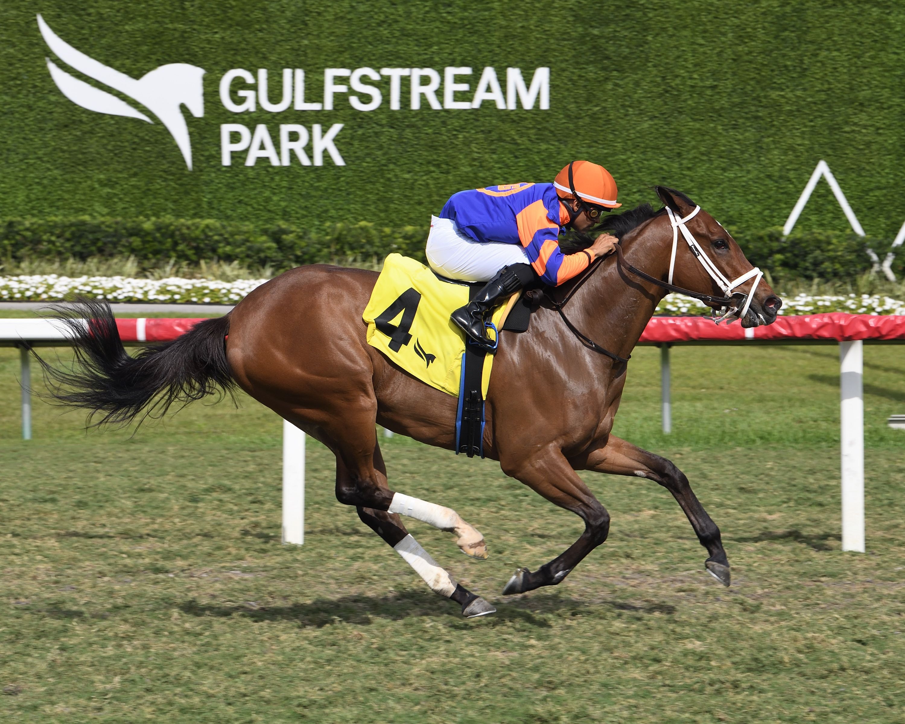 Cloe (Photo by Coglianese Photos/Lauren King)