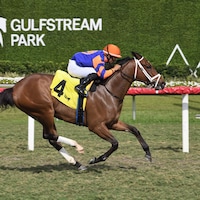 Cloe (Photo by Coglianese Photos/Lauren King)