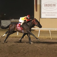 Coal Battle winning the Remington Springboard Mile at Remington Park (Photo by Dustin Orona Photography/Remington Park)