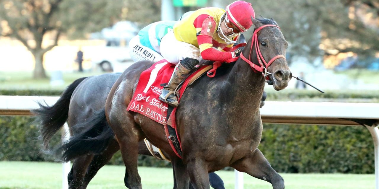 Coal Battle wins the Rebel