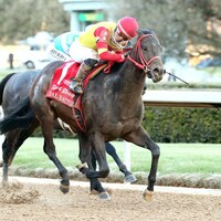 Coal Battle wins the Rebel