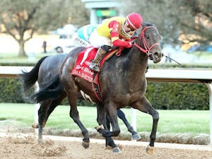 Coal Battle wins the Rebel