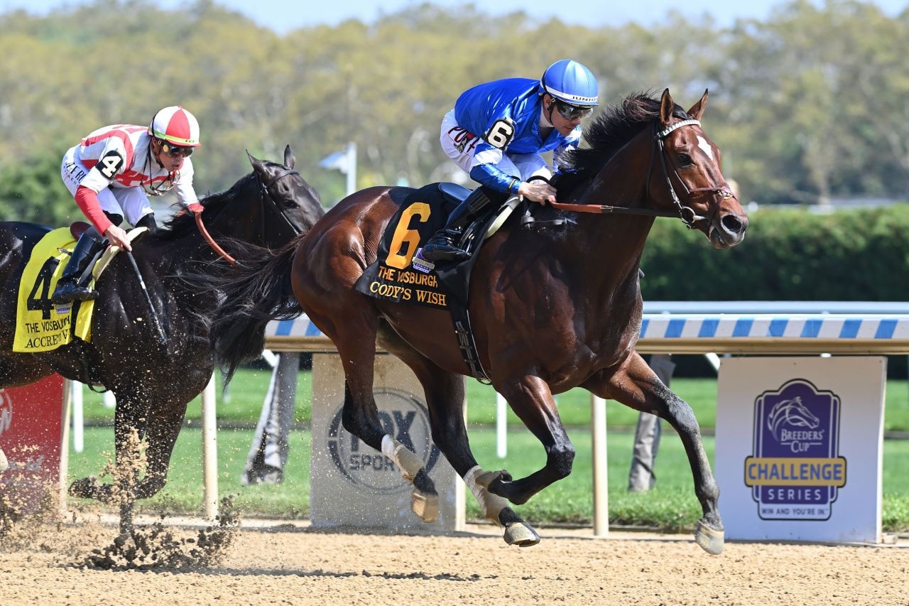 Cody's Wish winning the Vosburgh (G2) at Aqueduct (Photo by Coglianese Photos)