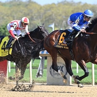Cody's Wish winning the Vosburgh (G2) at Aqueduct (Photo by Coglianese Photos)