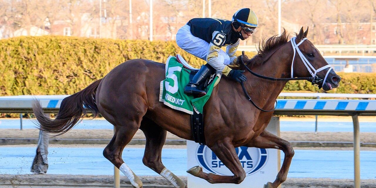 Colloquial breaking his maiden at Aqueduct (Photo by Coglianese Photos)