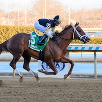 Colloquial breaking his maiden at Aqueduct (Photo by Coglianese Photos)