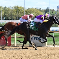 Comes A Time wins at Belmont at the Big A.
