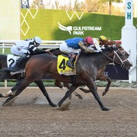 Commandment wins the Florida Derby at Gulfstream Park. 