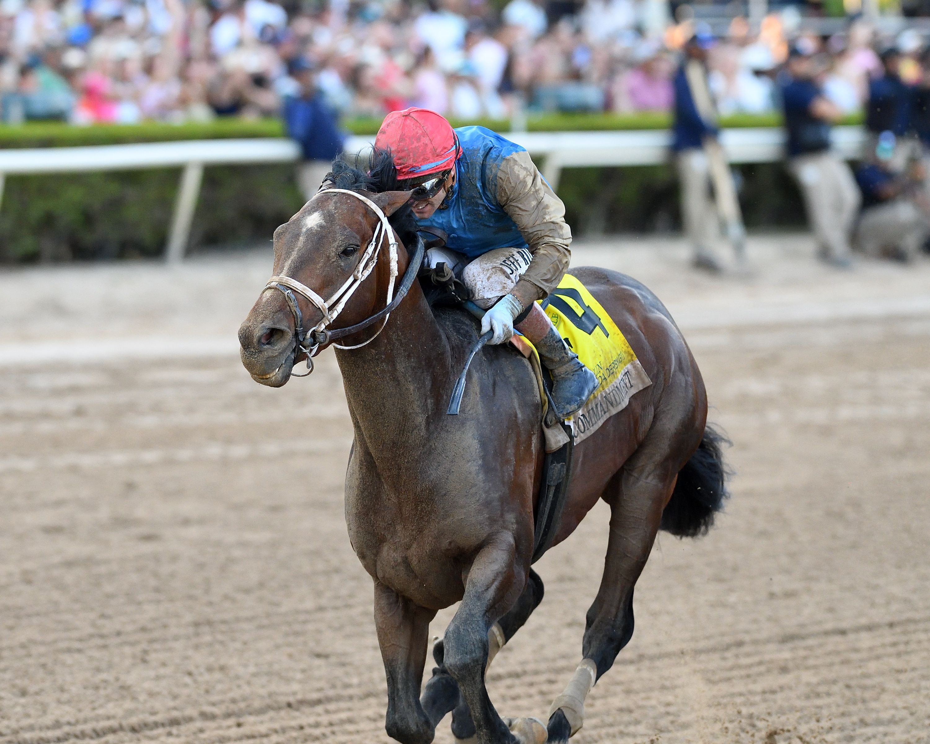 Commandment wins the Florida Derby at Gulfstream Park.