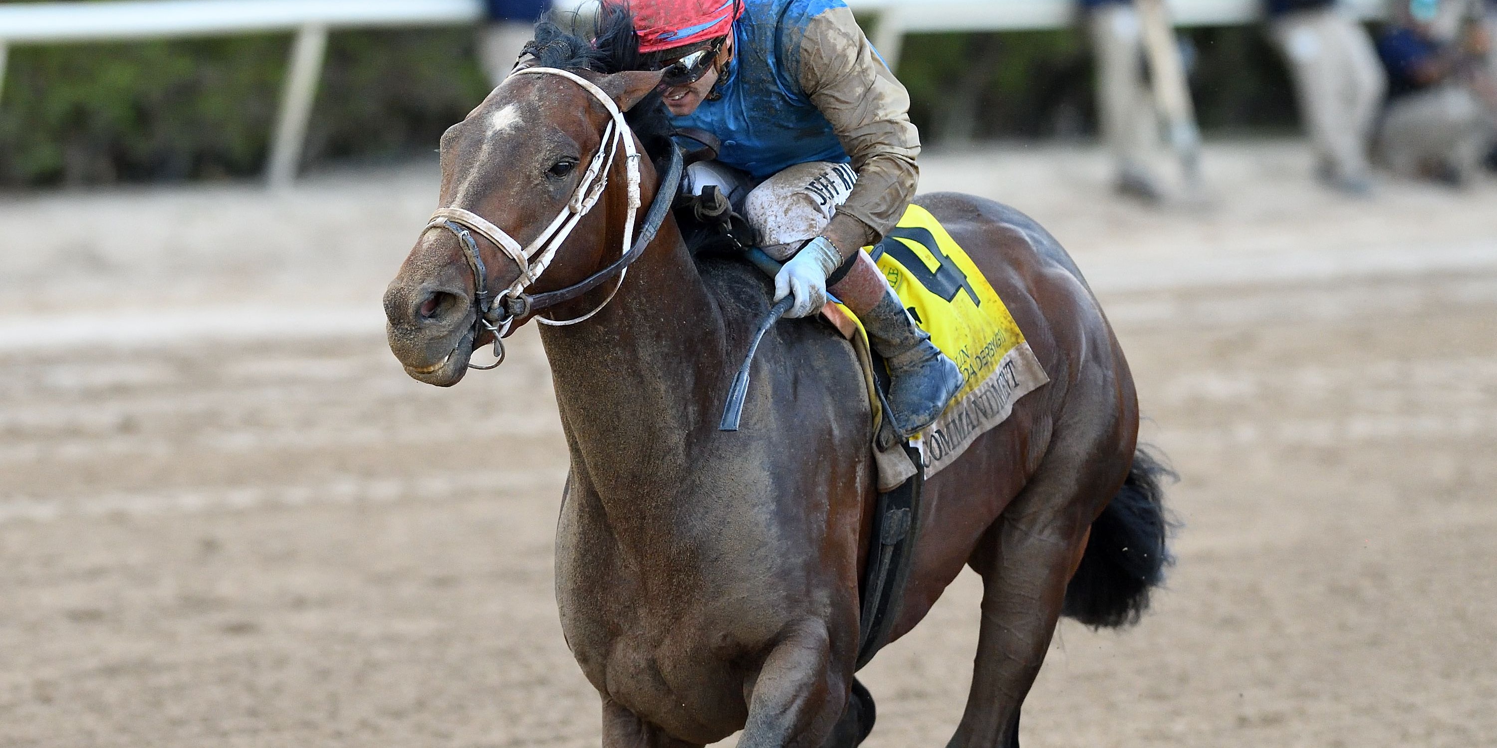 Commandment wins the Florida Derby at Gulfstream Park.