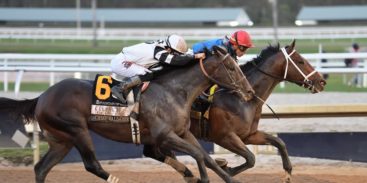 Commandment wins the Fountain of Youth at Gulfstream Park.