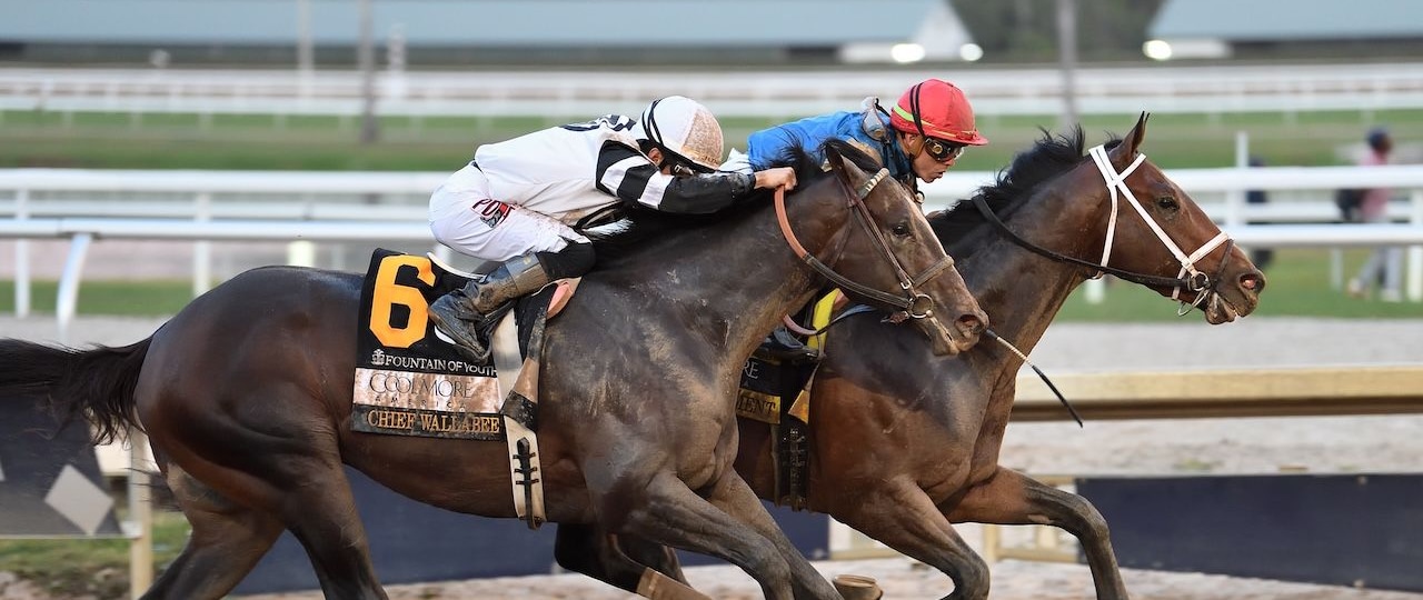 Commandment wins the Fountain of Youth at Gulfstream Park.