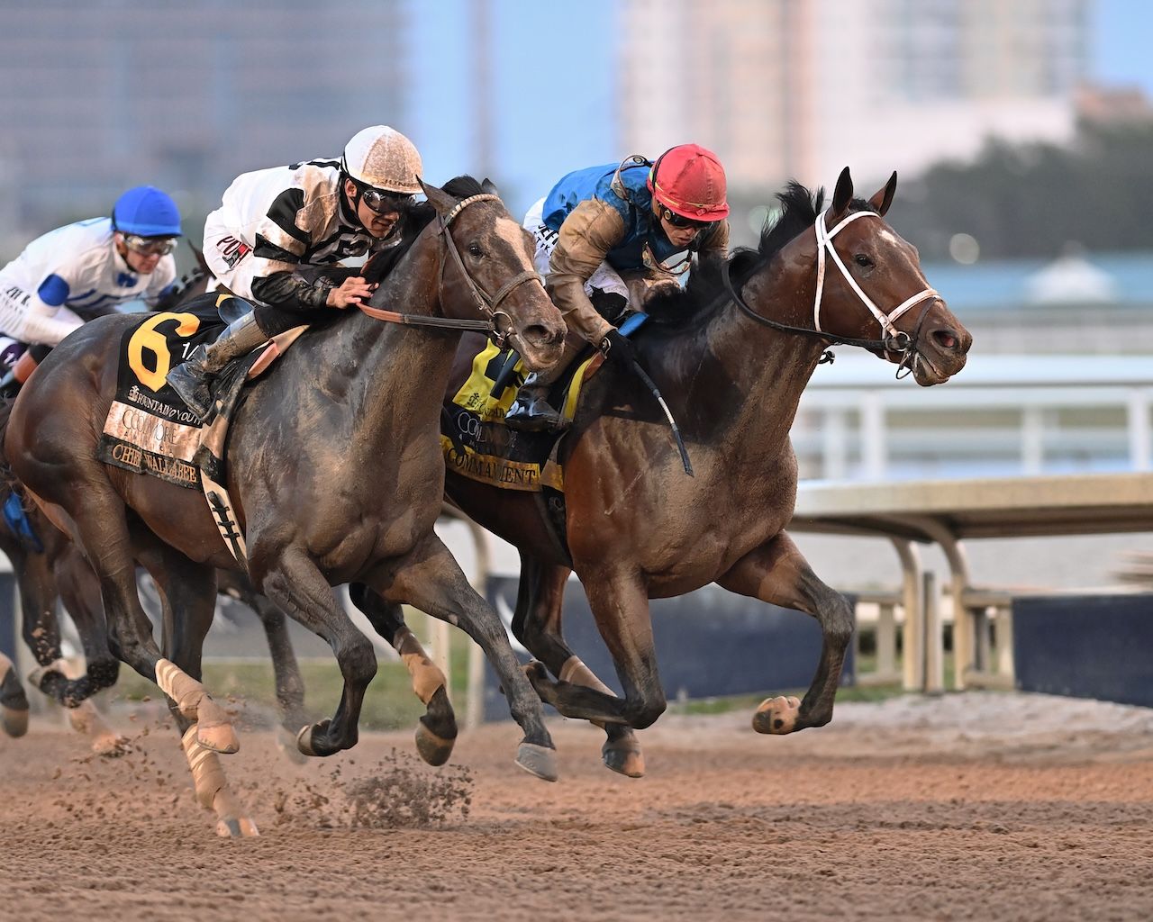 Tipsheet: 2026 Florida Derby | TwinSpires