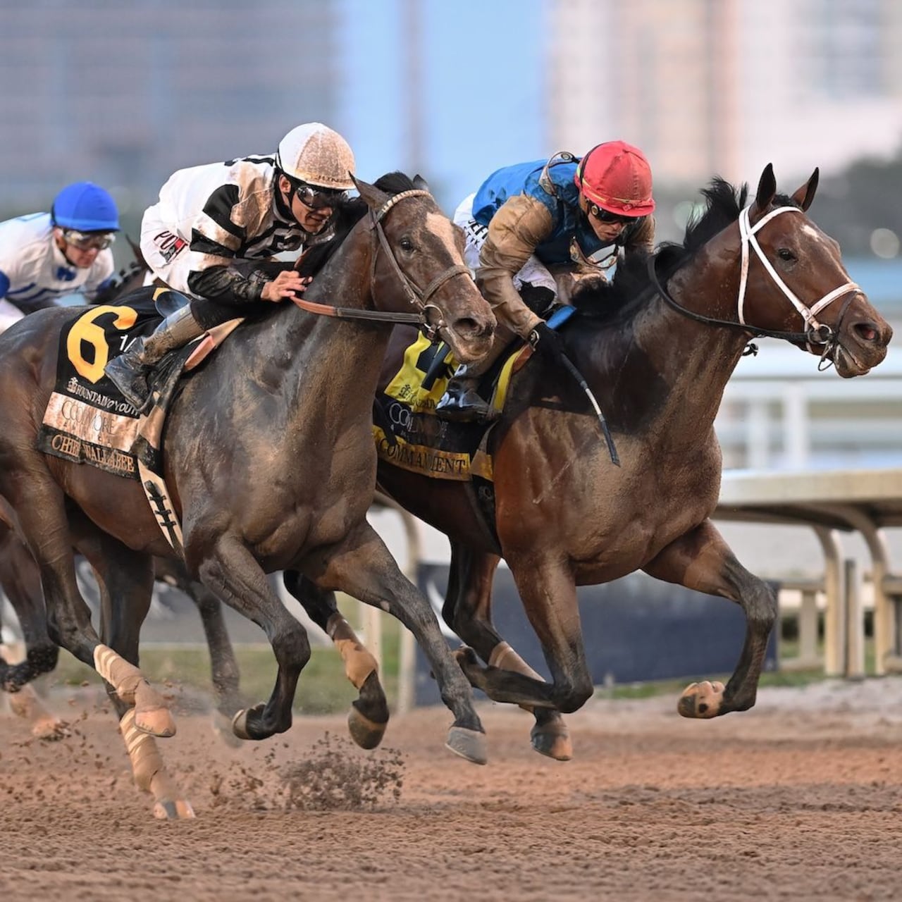 Commandment wins the Fountain of Youth at Gulfstream Park.