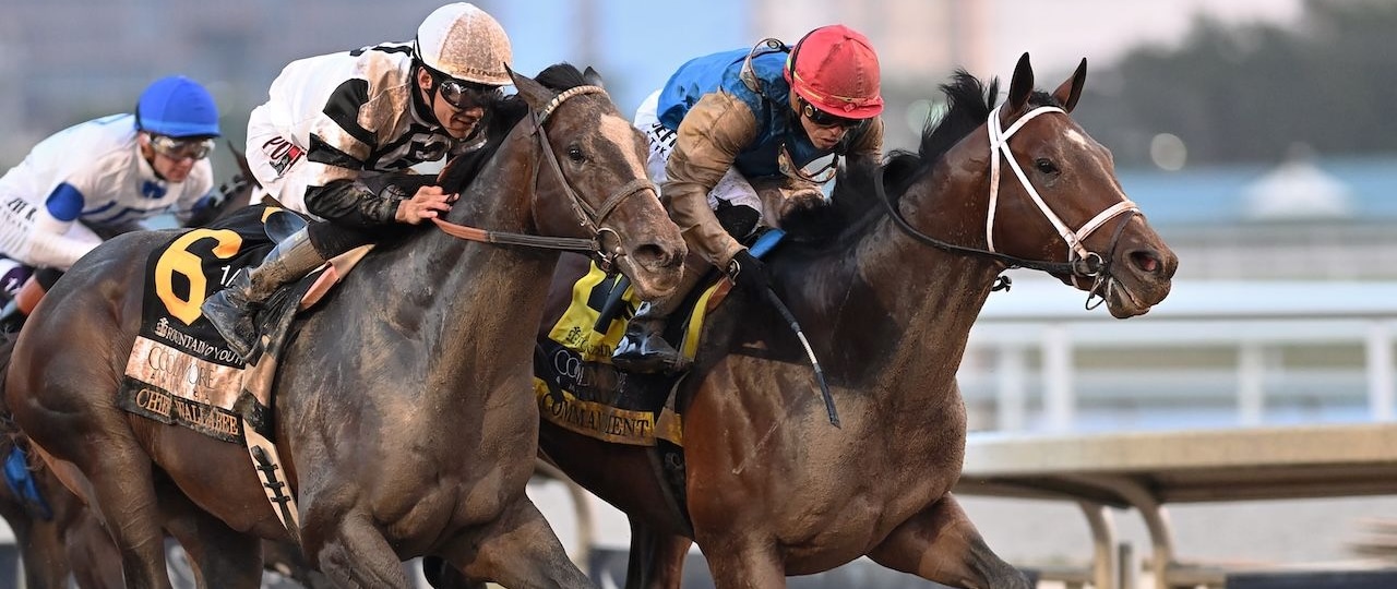 Commandment wins the Fountain of Youth at Gulfstream Park.