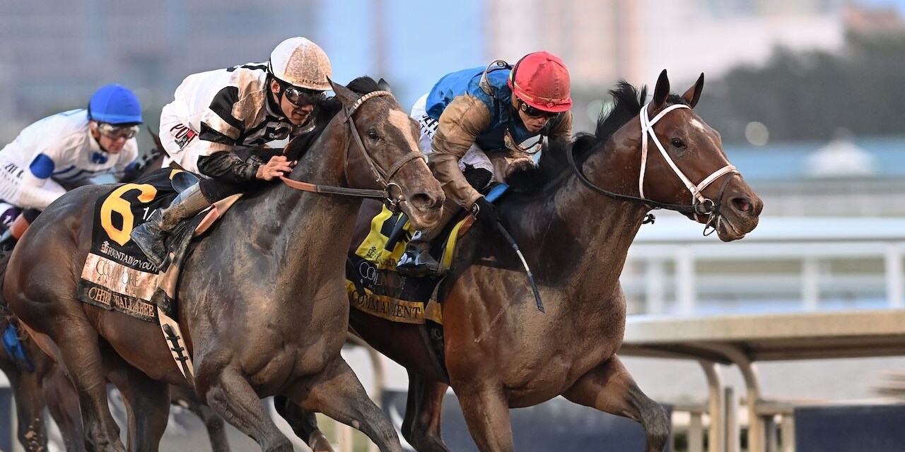Commandment wins the Fountain of Youth at Gulfstream Park.