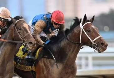 Commandment wins the Fountain of Youth at Gulfstream Park.