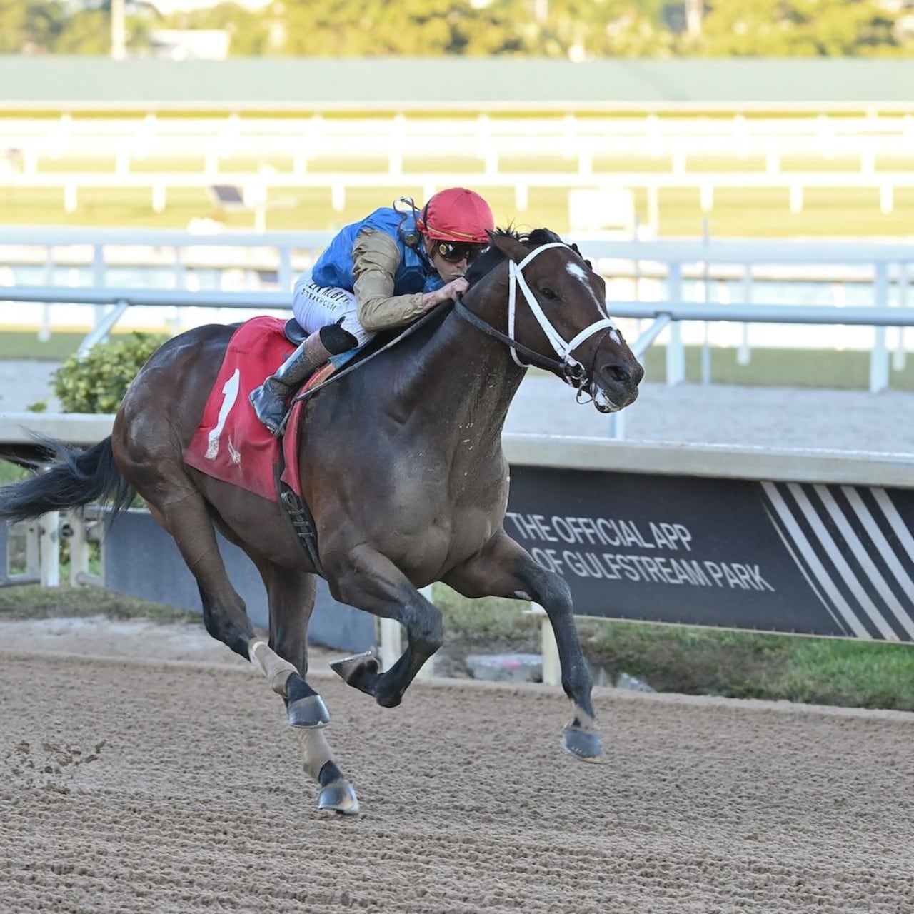 Commandment wins the Mucho Macho Man.