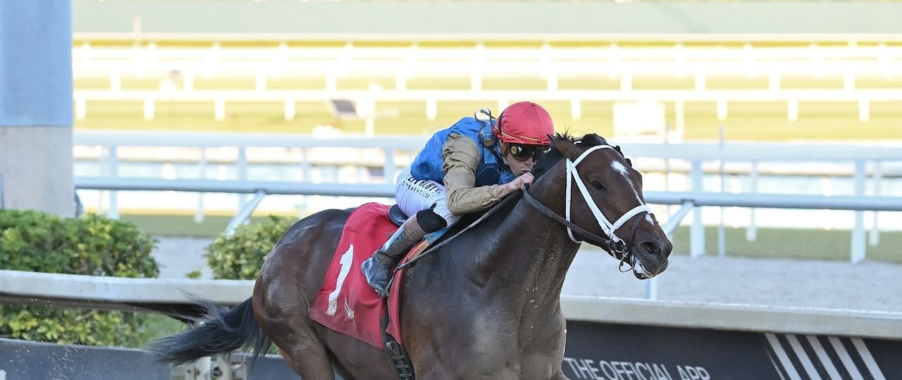Commandment wins the Mucho Macho Man.
