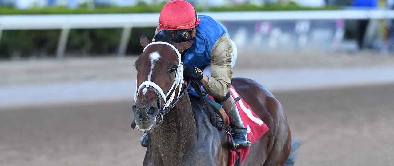 Commandment wins the Mucho Macho Man.