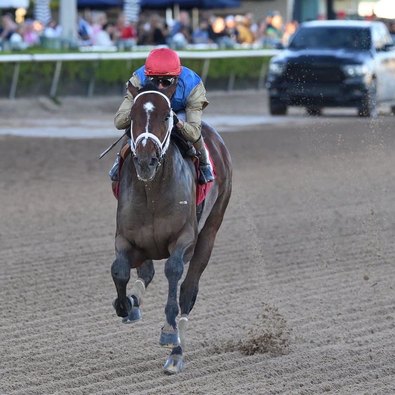 Commandment wins the Mucho Macho Man.