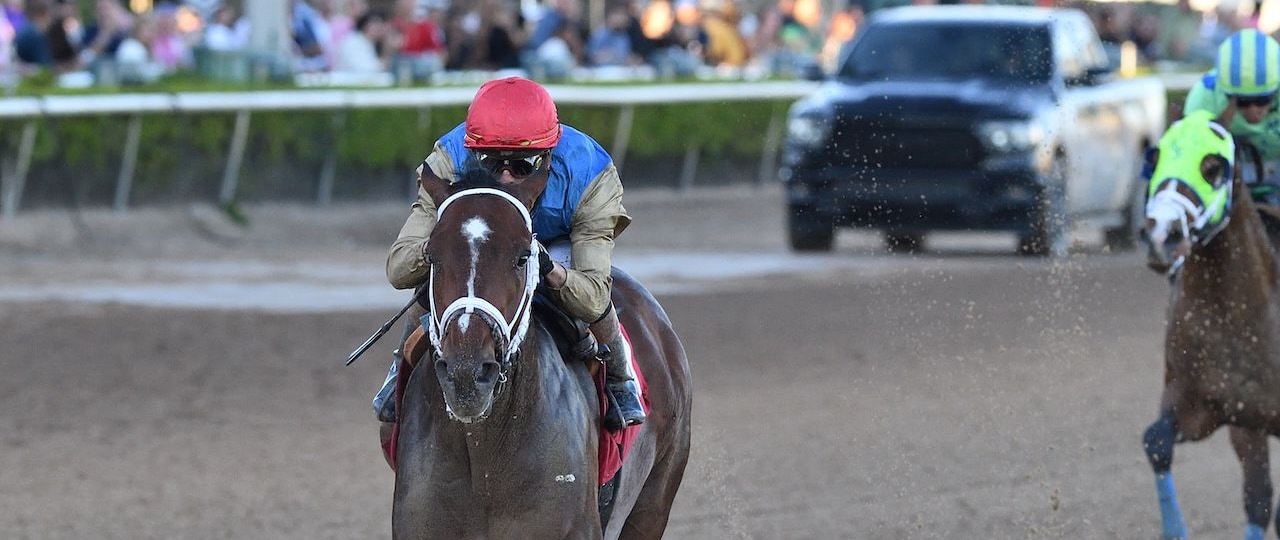 Commandment wins the Mucho Macho Man.