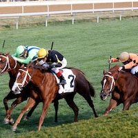 Shards (far right) finishing a close third in the Indian Summer S. at Keeneland (Photo by Keeneland Photos)