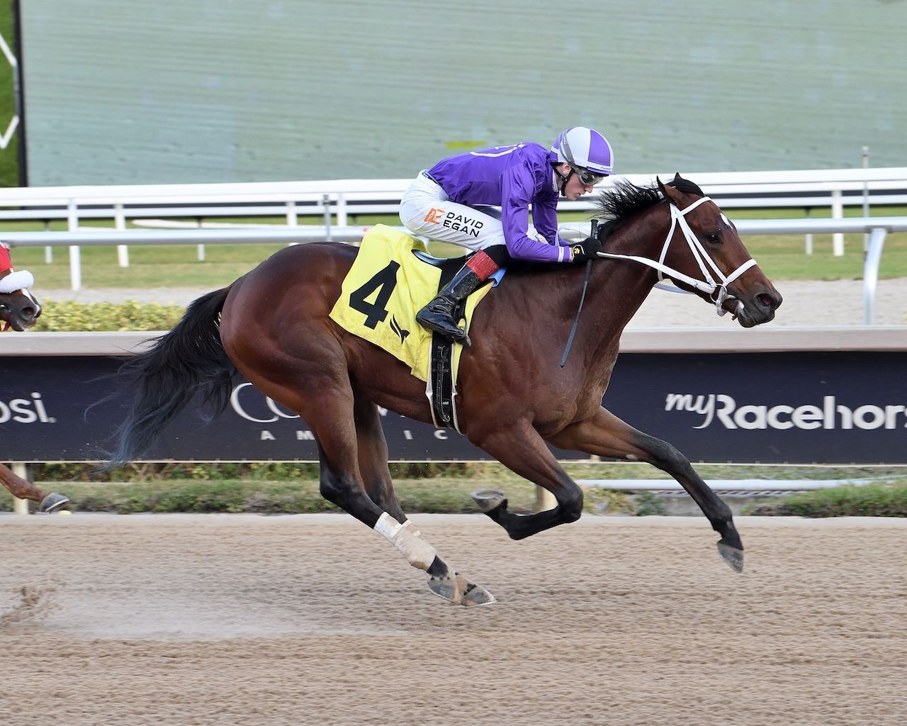 Cool Intentions wins at Gulfstream Park.