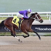 Cool Intentions wins at Gulfstream Park. 