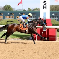 Cornucopian winning his debut at Oaklawn Park (Photo by Coady Media)