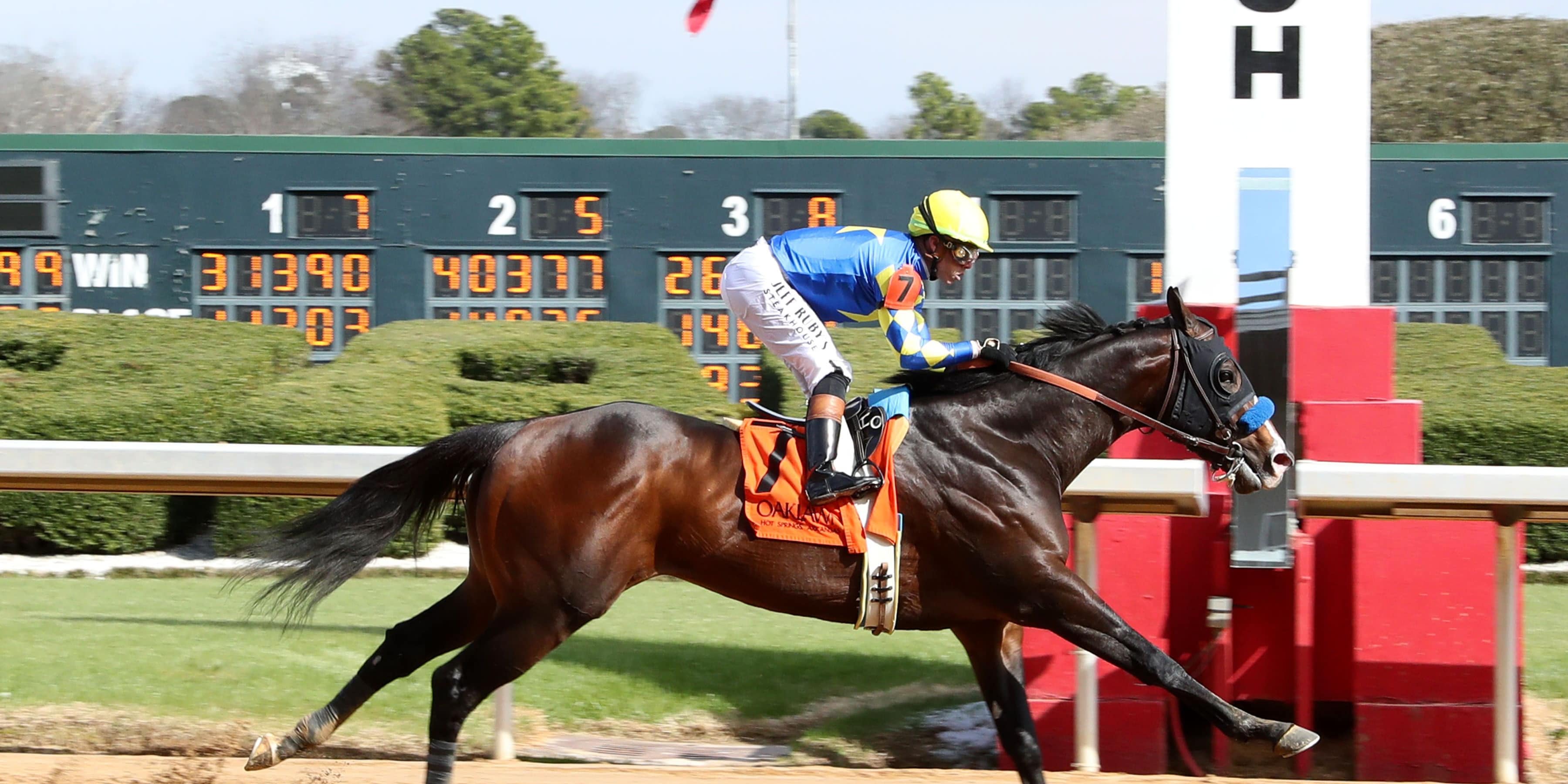 Cornucopian winning his debut at Oaklawn Park (Photo by Coady Media)