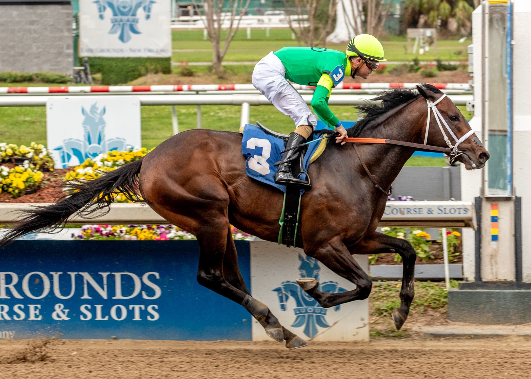 Corono De Oro wins at Fair Grounds. 