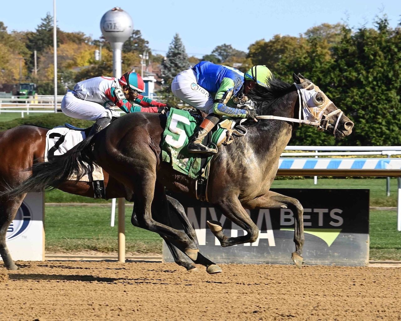 Corvus wins at Belmont at the Big A. (Photo by Coglianese Photo)