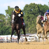 Counting Stars wins the Coaching Club American Oaks at Saratoga.