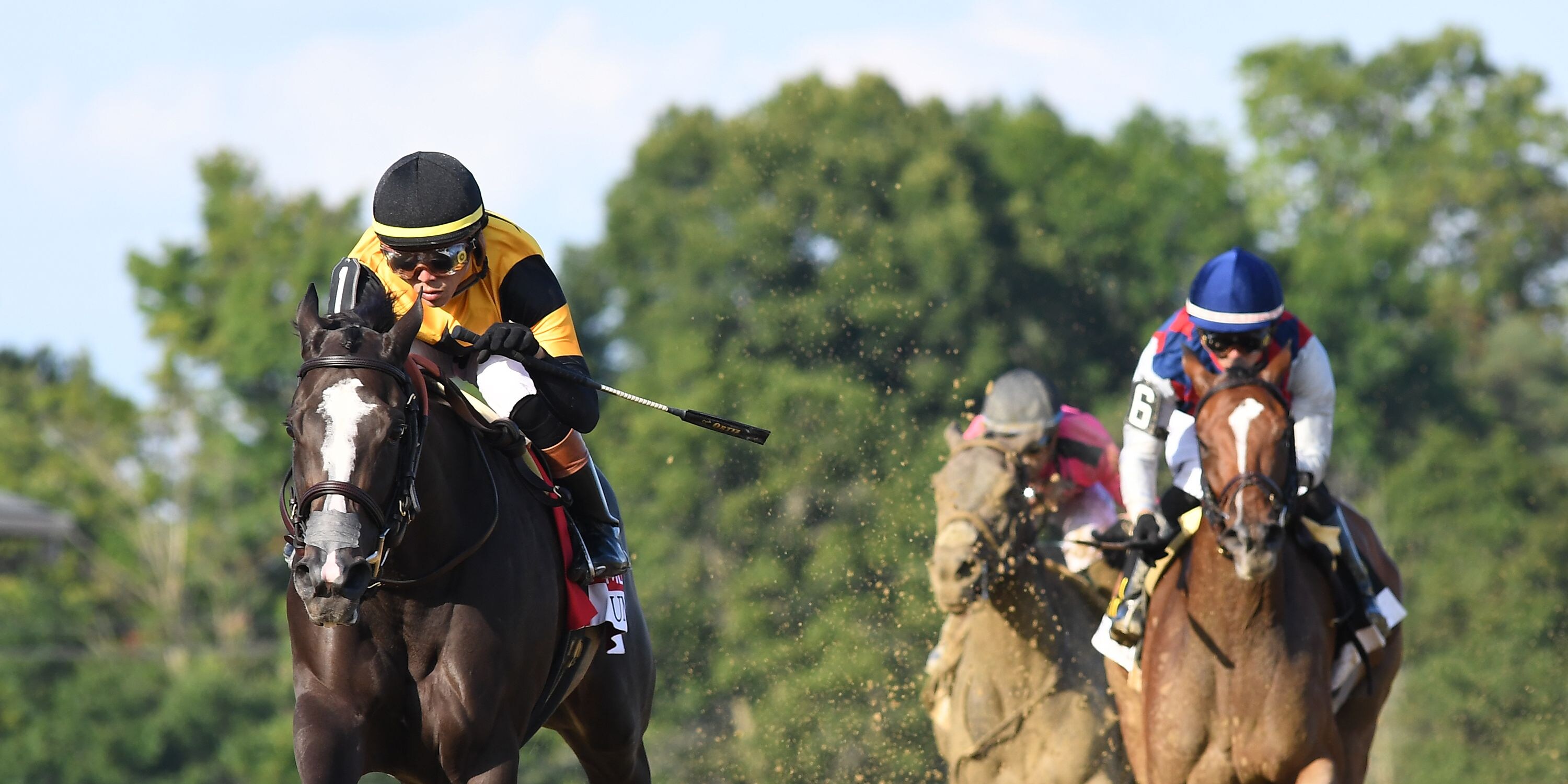 Counting Stars wins the Coaching Club American Oaks at Saratoga.